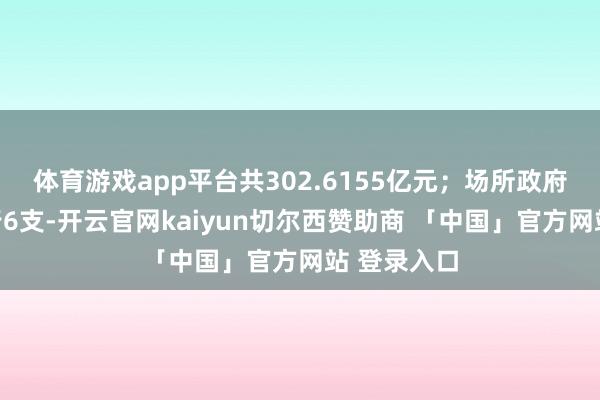体育游戏app平台共302.6155亿元；场所政府专项债刊行6支-开云官网kaiyun切尔西赞助商 「中国」官方网站 登录入口
