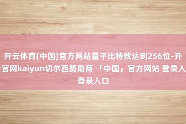开云体育(中国)官方网站量子比特数达到256位-开云官网kaiyun切尔西赞助商 「中国」官方网站 登录入口