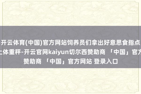 开云体育(中国)官方网站饲养员们拿出好意思食指点小熊猫我方爬上体重秤-开云官网kaiyun切尔西赞助商 「中国」官方网站 登录入口